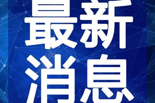 番禺都市爆料事件视频最新,最新视频揭露惊人真相!